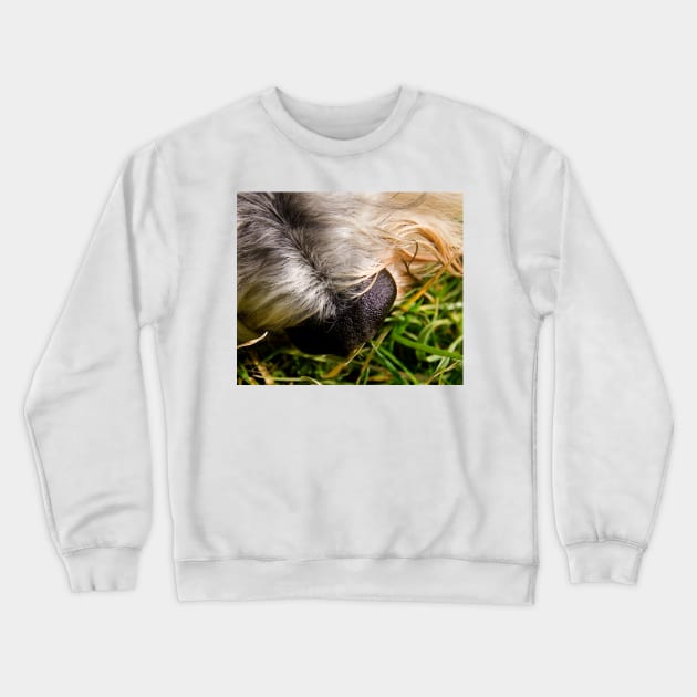 Smell the Grass Crewneck Sweatshirt by GeoffCarpenter